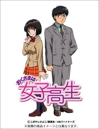 《我太太是高中生》动漫完整版免费在线观看全集_ (2005) 海报