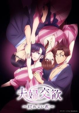 《夫妇联欢~回不去的夜晚》动漫在线观看全集免费完整版
