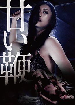 《《甜蜜皮鞭》完整版电影在线观看》2013 海报