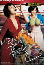 《外遇的好日子》-高清4K蓝光完整全集在线免费观看 (2007) 海报