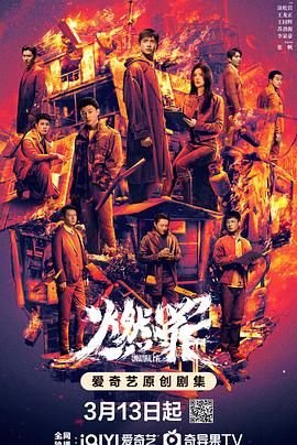 《燃罪电视剧在线观看免费完整版》2025 海报