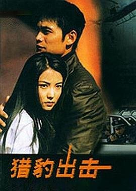 《《猎豹出击》电视剧在线观看免费完整版_》2002 海报