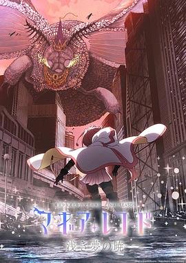 魔法纪录：魔法少女小圆外传 免费在线观看