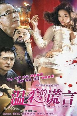 温柔的谎言在线观看完整版电视剧 (2010) 海报