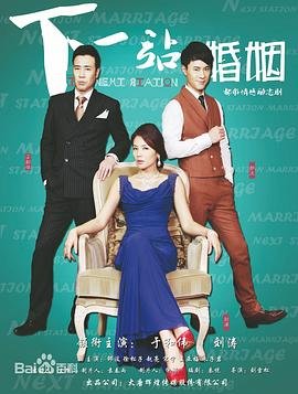 下一站婚姻电视剧全集高清完整版免费在线观看 (2014) 海报