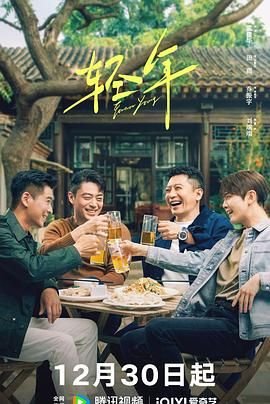 《轻年》电视剧在线观看全集免费 (2025) 海报