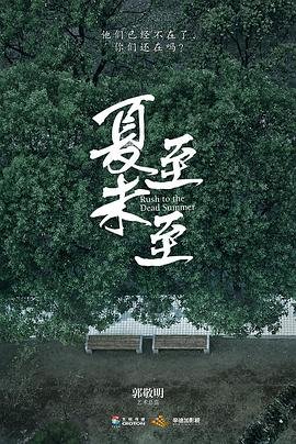 夏至未至电视剧免费观看完整版 (2017) 海报