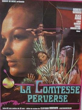 《堕落的伯爵夫人》免费在线播放高清完整版无广_经典片 (1974) 海报