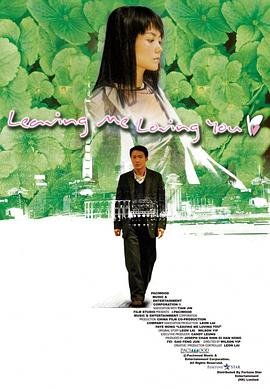 大城小事电视剧免费观看全集 (2004) 海报