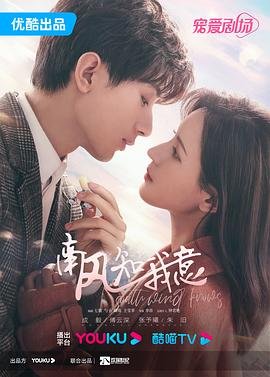 南风知我意电视剧免费观看完整版 (2023) 海报