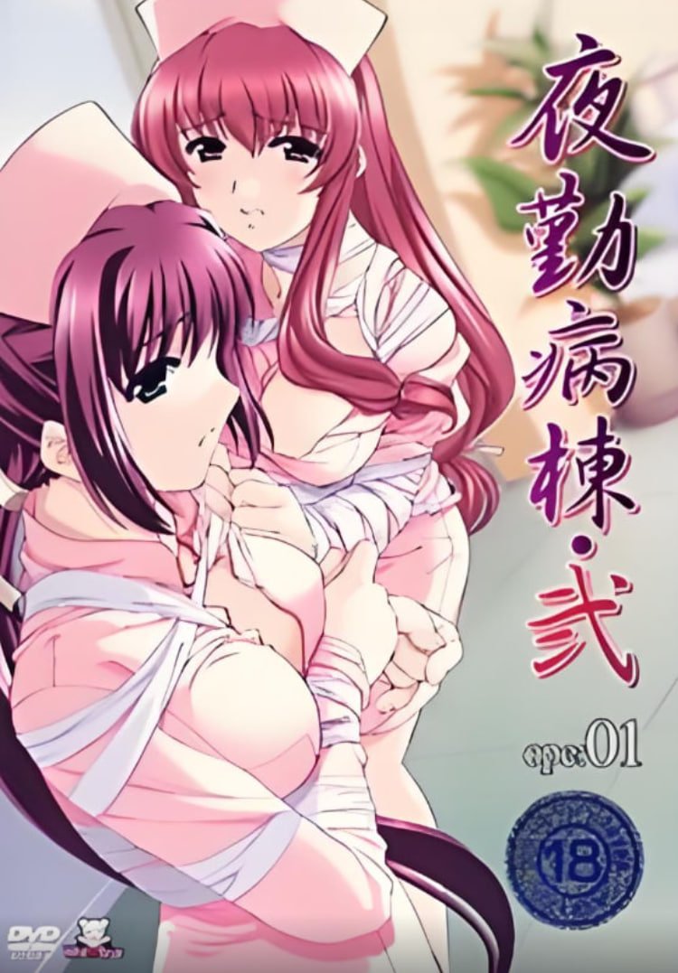 《夜勤病栋2全集免费看》2011 海报