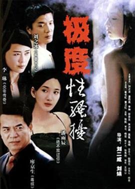 《《出轨2004》电视剧汉语普通话完整版在线免费观看全集》2004 海报